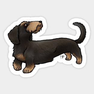 Dog - Wire-Haired Dachshund - Black and Tan Sticker